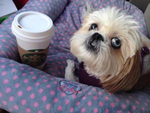 Our big car ride to Louisville!