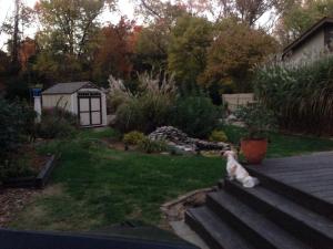 Surveying her new domain.